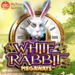 white rabbit　アイキャッチ