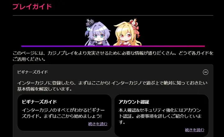 インターカジノのプレイガイド