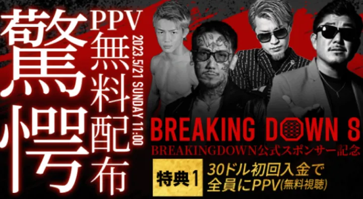 ビーベット rizin