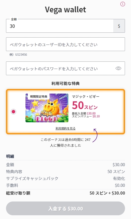 ステップ4：アカウント情報を入力して入金手続き完了