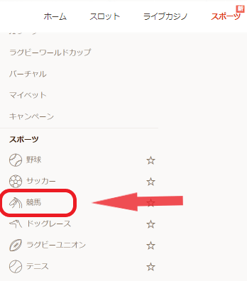 ブックメーカー競馬の賭け方