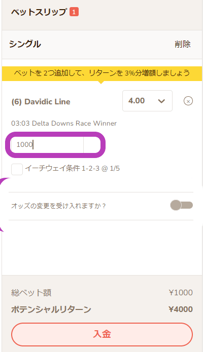 ブックメーカー競馬の賭け方