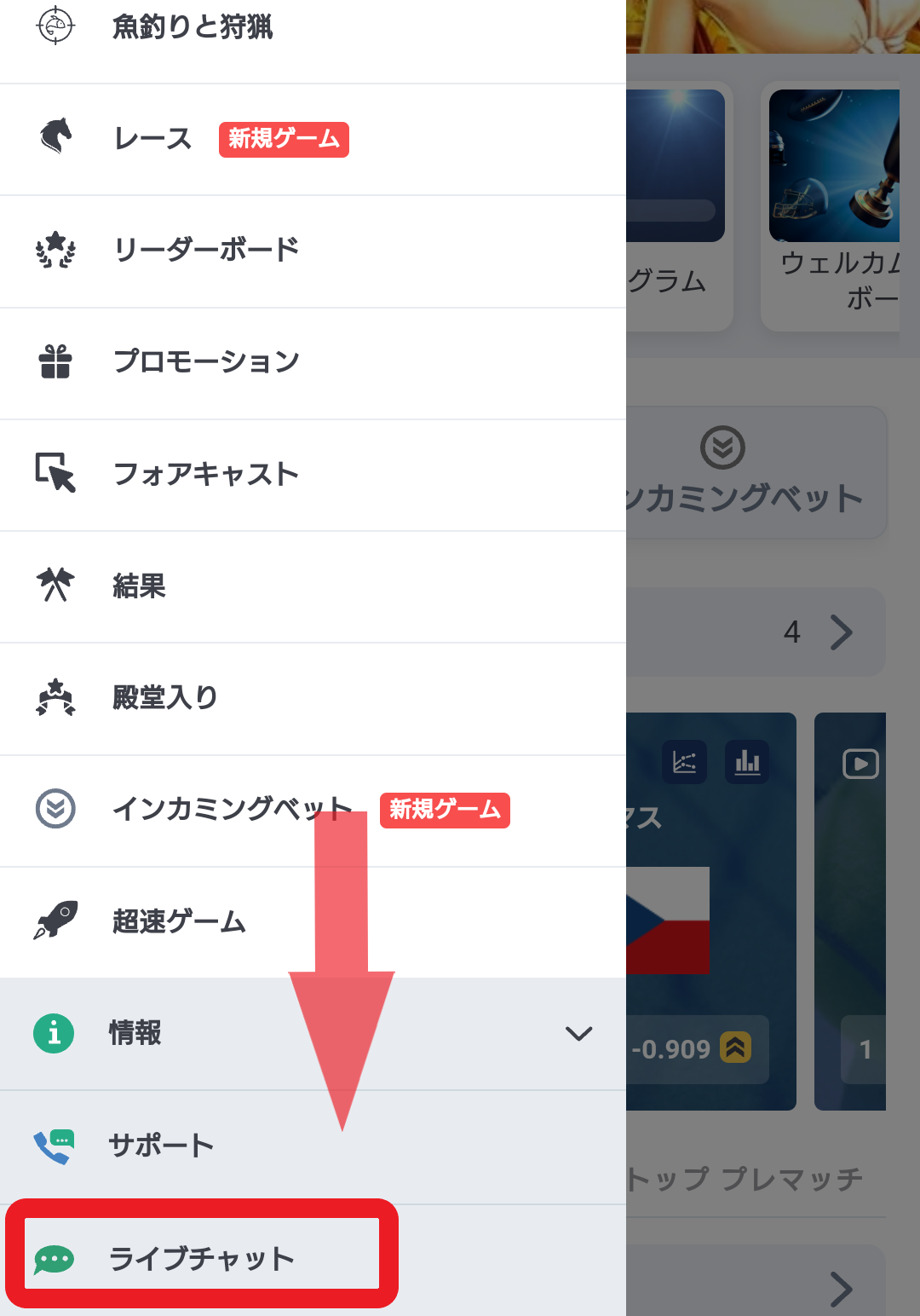 20ベットサポート利用方法