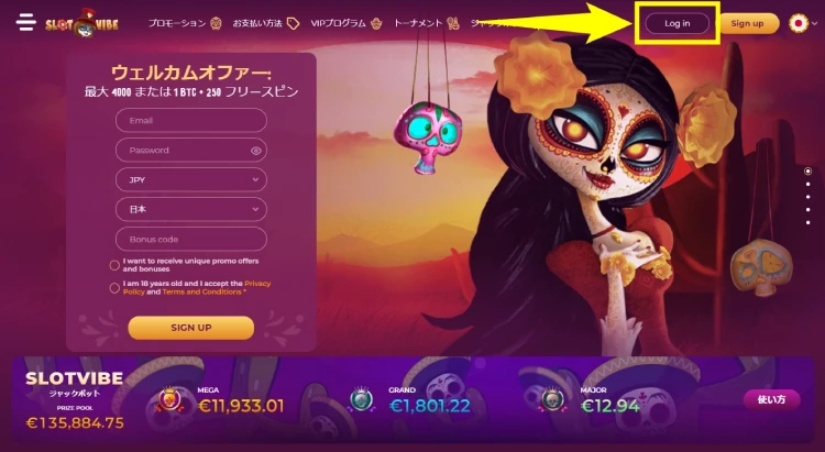 スロットバイブカジノ公式サイト