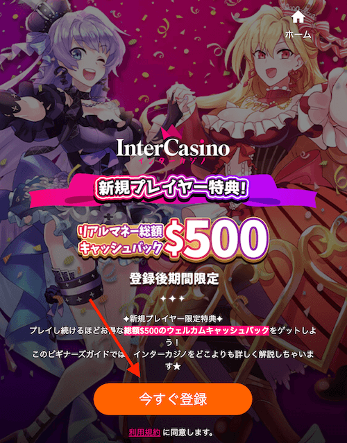 インターカジノの登録方法