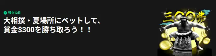 パリマッチ相撲キャンペーン