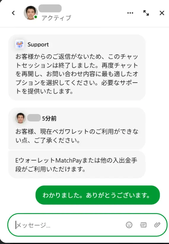 ビーシーゲームの日本語サポート (1)