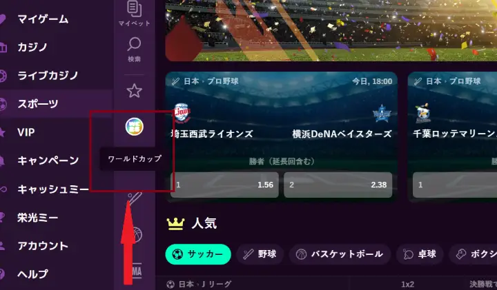 ワールドカップ日本代表戦賭け方